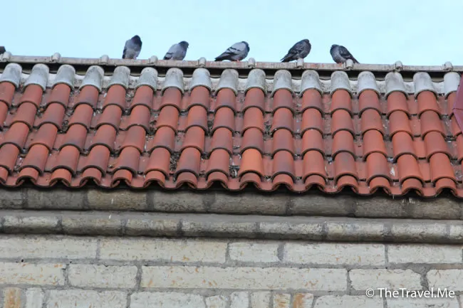 粗眉仔, 旅遊, Travel, 渡假, 觀光, sightseeing, 歐洲, Europe, 芬蘭, 赫爾辛基, 愛沙尼亞, 塔林, 拉脫維亞, 里加, 古城, 波羅的海, 世界文化遺產, Finland, Helsinki, Baltic Sea, Estonia, Latvia, Riga, Sigulda, Tallinn, world heritage 