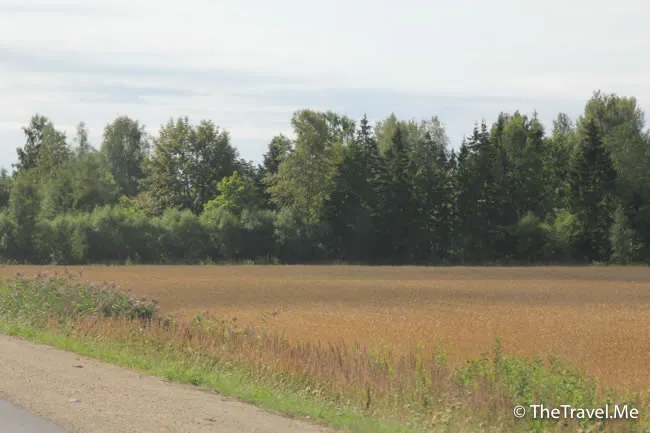 粗眉仔, 旅遊, Travel, 渡假, 觀光, sightseeing, 歐洲, Europe, 芬蘭, 赫爾辛基, 愛沙尼亞, 塔林, 拉脫維亞, 里加, 古城, 波羅的海, 世界文化遺產, Finland, Helsinki, Baltic Sea, Estonia, Latvia, Riga, Sigulda, Tallinn, world heritage 