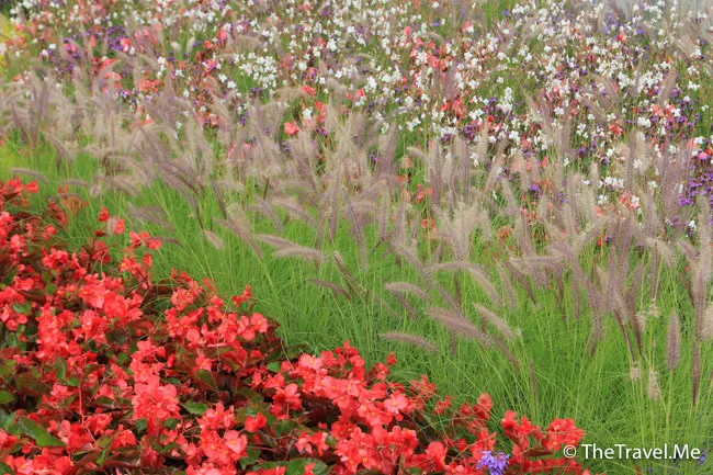 粗眉仔, 旅遊, Travel, 渡假, 觀光, sightseeing, 歐洲, Europe, 芬蘭, 赫爾辛基, 愛沙尼亞, 塔林, 拉脫維亞, 里加, 古城, 波羅的海, 世界文化遺產, Finland, Helsinki, Baltic Sea, Estonia, Latvia, Riga, Sigulda, Tallinn, world heritage 