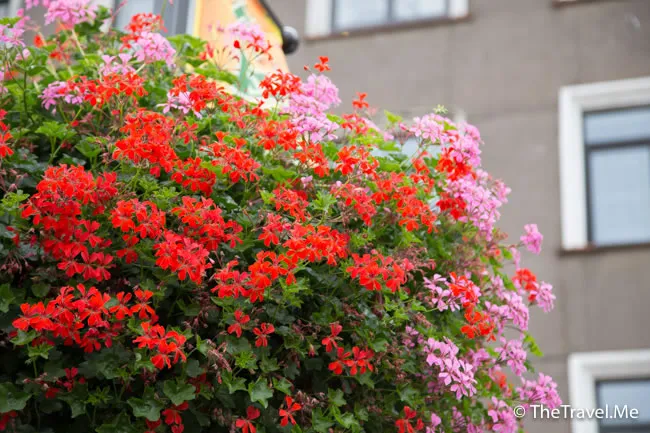 粗眉仔, 旅遊, Travel, 渡假, 觀光, sightseeing, 歐洲, Europe, 芬蘭, 赫爾辛基, 愛沙尼亞, 塔林, 拉脫維亞, 里加, 古城, 波羅的海, 世界文化遺產, Finland, Helsinki, Baltic Sea, Estonia, Latvia, Riga, Sigulda, Tallinn, world heritage 