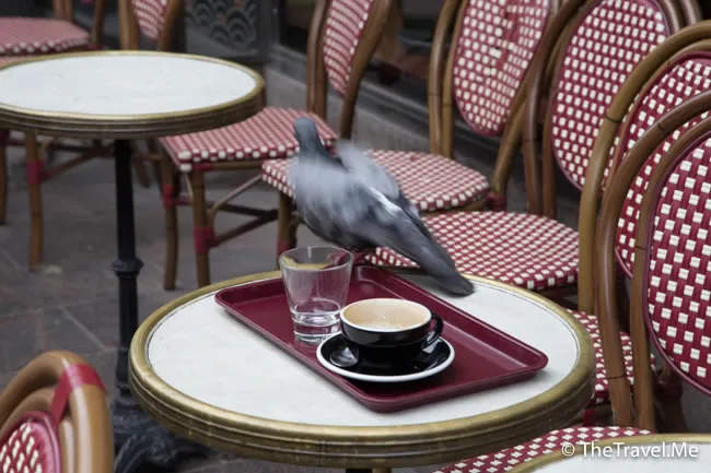 粗眉仔, 旅遊, Travel, 渡假, 觀光, sightseeing, 歐洲, Europe, 芬蘭, 赫爾辛基, 愛沙尼亞, 塔林, 拉脫維亞, 里加, 古城, 波羅的海, 世界文化遺產, Finland, Helsinki, Baltic Sea, Estonia, Latvia, Riga, Sigulda, Tallinn, world heritage 