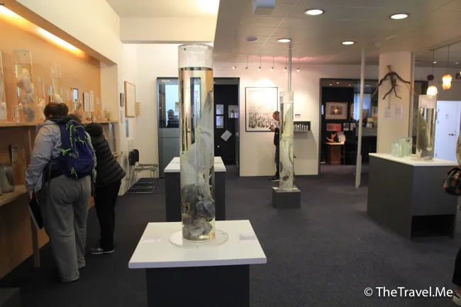 粗眉仔, 旅遊, Travel, 渡假, 觀光, sightseeing, 歐洲, 冰島, 北極, 瀑布, 熔岩, 冰山, Europe, Iceland, Golden Circle, 火山, volcano, Reykjavik, Akureyri, lake Myvatn, glacier, 冰川