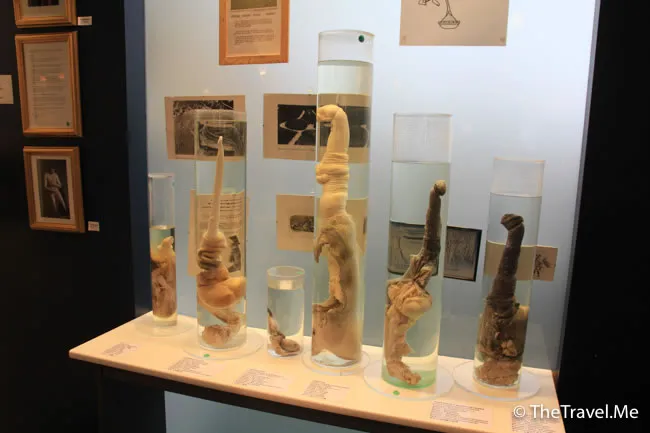 粗眉仔, 旅遊, Travel, 渡假, 觀光, sightseeing, 歐洲, 冰島, 北極, 瀑布, 熔岩, 冰山, Europe, Iceland, Golden Circle, 火山, volcano, Reykjavik, Akureyri, lake Myvatn, glacier, 冰川