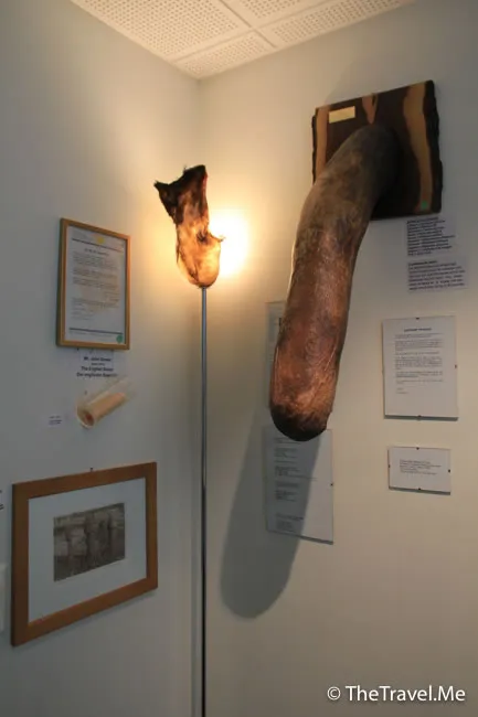 粗眉仔, 旅遊, Travel, 渡假, 觀光, sightseeing, 歐洲, 冰島, 北極, 瀑布, 熔岩, 冰山, Europe, Iceland, Golden Circle, 火山, volcano, Reykjavik, Akureyri, lake Myvatn, glacier, 冰川