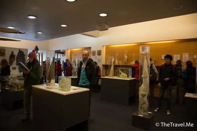 粗眉仔, 旅遊, Travel, 渡假, 觀光, sightseeing, 歐洲, 冰島, 北極, 瀑布, 熔岩, 冰山, Europe, Iceland, Golden Circle, 火山, volcano, Reykjavik, Akureyri, lake Myvatn, glacier, 冰川