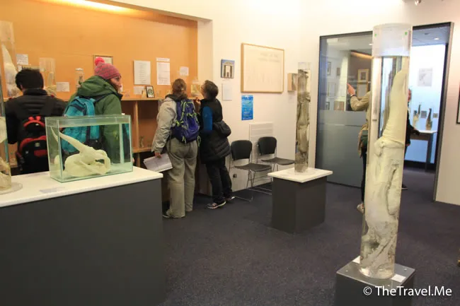 粗眉仔, 旅遊, Travel, 渡假, 觀光, sightseeing, 歐洲, 冰島, 北極, 瀑布, 熔岩, 冰山, Europe, Iceland, Golden Circle, 火山, volcano, Reykjavik, Akureyri, lake Myvatn, glacier, 冰川