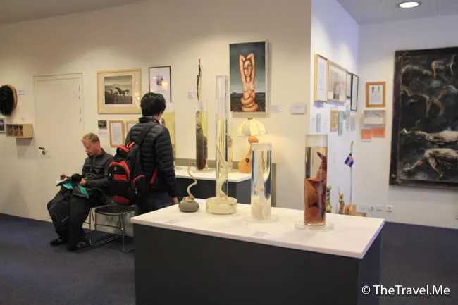 粗眉仔, 旅遊, Travel, 渡假, 觀光, sightseeing, 歐洲, 冰島, 北極, 瀑布, 熔岩, 冰山, Europe, Iceland, Golden Circle, 火山, volcano, Reykjavik, Akureyri, lake Myvatn, glacier, 冰川