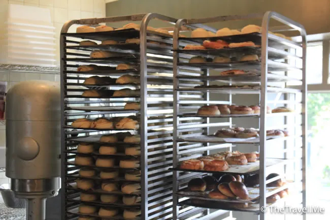 粗眉仔, 旅遊, Travel, 渡假, 觀光, sightseeing, 歐洲, 冰島, 北極, 瀑布, 熔岩, 冰山, Europe, Iceland, Golden Circle, 火山, volcano, Reykjavik, Akureyri, lake Myvatn, glacier, 冰川