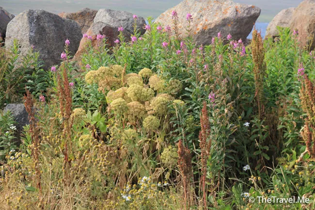 粗眉仔, 旅遊, Travel, 渡假, 觀光, sightseeing, 歐洲, 冰島, 北極, 瀑布, 熔岩, 冰山, Europe, Iceland, Golden Circle, 火山, volcano, Reykjavik, Akureyri, lake Myvatn, glacier, 冰川