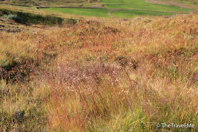 粗眉仔, 旅遊, Travel, 渡假, 觀光, sightseeing, 歐洲, 冰島, 北極, 瀑布, 熔岩, 冰山, Europe, Iceland, Golden Circle, 火山, volcano, Reykjavik, Akureyri, lake Myvatn, glacier, 冰川