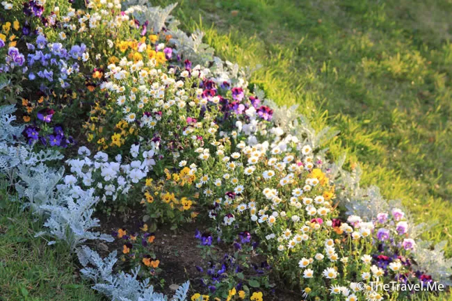 粗眉仔, 旅遊, Travel, 渡假, 觀光, sightseeing, 歐洲, 冰島, 北極, 瀑布, 熔岩, 冰山, Europe, Iceland, Golden Circle, 火山, volcano, Reykjavik, Akureyri, lake Myvatn, glacier, 冰川