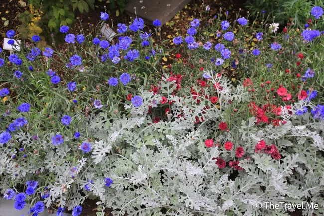 粗眉仔, 旅遊, Travel, 渡假, 觀光, sightseeing, 歐洲, 冰島, 北極, 瀑布, 熔岩, 冰山, Europe, Iceland, Golden Circle, 火山, volcano, Reykjavik, Akureyri, lake Myvatn, glacier, 冰川