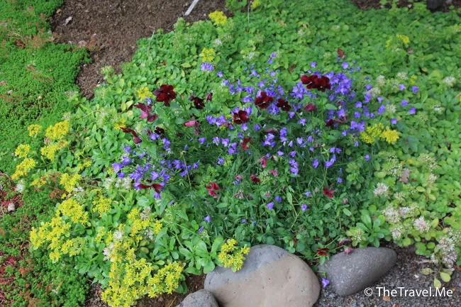 粗眉仔, 旅遊, Travel, 渡假, 觀光, sightseeing, 歐洲, 冰島, 北極, 瀑布, 熔岩, 冰山, Europe, Iceland, Golden Circle, 火山, volcano, Reykjavik, Akureyri, lake Myvatn, glacier, 冰川