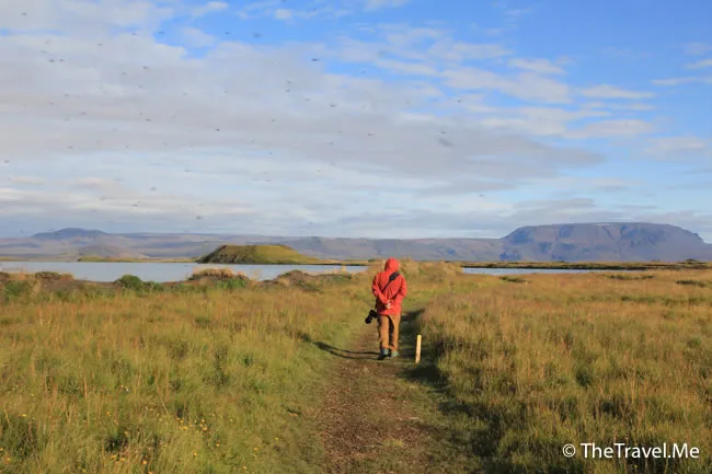 粗眉仔, 旅遊, Travel, 渡假, 觀光, sightseeing, 歐洲, 冰島, 北極, 瀑布, 熔岩, 冰山, Europe, Iceland, Golden Circle, 火山, volcano, Reykjavik, Akureyri, lake Myvatn, glacier, 冰川