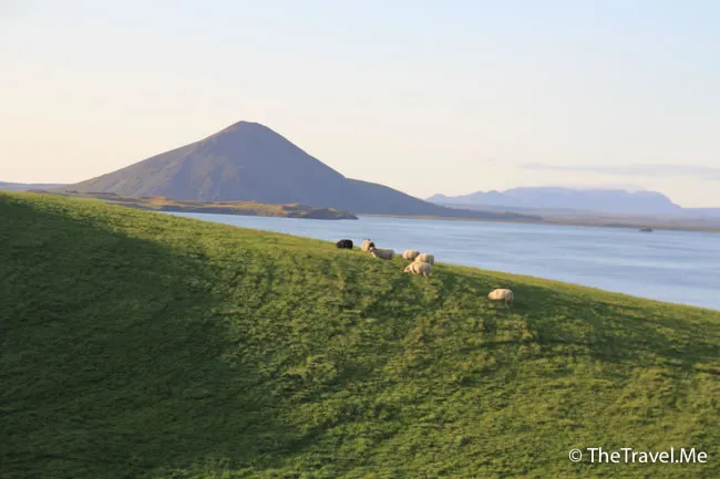 粗眉仔, 旅遊, Travel, 渡假, 觀光, sightseeing, 歐洲, 冰島, 北極, 瀑布, 熔岩, 冰山, Europe, Iceland, Golden Circle, 火山, volcano, Reykjavik, Akureyri, lake Myvatn, glacier, 冰川