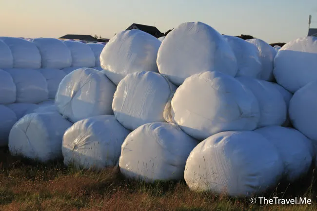 粗眉仔, 旅遊, Travel, 渡假, 觀光, sightseeing, 歐洲, 冰島, 北極, 瀑布, 熔岩, 冰山, Europe, Iceland, Golden Circle, 火山, volcano, Reykjavik, Akureyri, lake Myvatn, glacier, 冰川