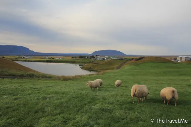 粗眉仔, 旅遊, Travel, 渡假, 觀光, sightseeing, 歐洲, 冰島, 北極, 瀑布, 熔岩, 冰山, Europe, Iceland, Golden Circle, 火山, volcano, Reykjavik, Akureyri, lake Myvatn, glacier, 冰川