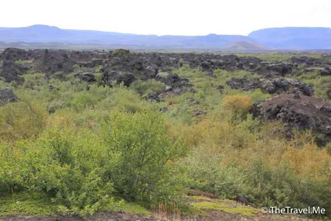 粗眉仔, 旅遊, Travel, 渡假, 觀光, sightseeing, 歐洲, 冰島, 北極, 瀑布, 熔岩, 冰山, Europe, Iceland, Golden Circle, 火山, volcano, Reykjavik, Akureyri, lake Myvatn, glacier, 冰川