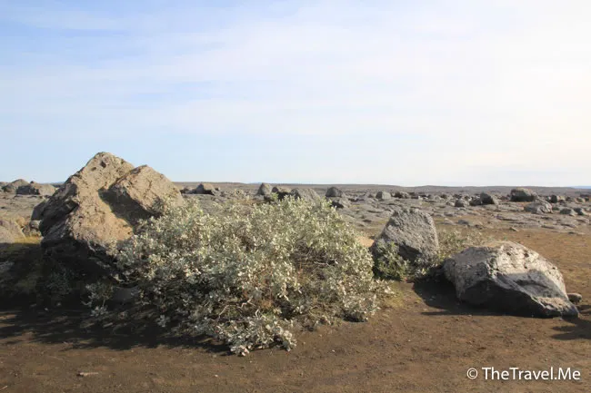 粗眉仔, 旅遊, Travel, 渡假, 觀光, sightseeing, 歐洲, 冰島, 北極, 瀑布, 熔岩, 冰山, Europe, Iceland, Golden Circle, 火山, volcano, Reykjavik, Akureyri, lake Myvatn, glacier, 冰川