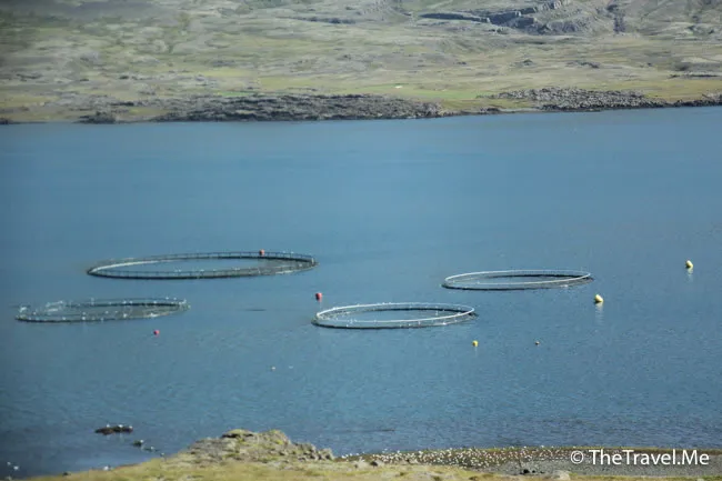 粗眉仔, 旅遊, Travel, 渡假, 觀光, sightseeing, 歐洲, 冰島, 北極, 瀑布, 熔岩, 冰山, Europe, Iceland, Golden Circle, 火山, volcano, Reykjavik, Akureyri, lake Myvatn, glacier, 冰川