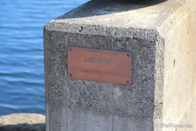 粗眉仔, 旅遊, Travel, 渡假, 觀光, sightseeing, 歐洲, 冰島, 北極, 瀑布, 熔岩, 冰山, Europe, Iceland, Golden Circle, 火山, volcano, Reykjavik, Akureyri, lake Myvatn, glacier, 冰川