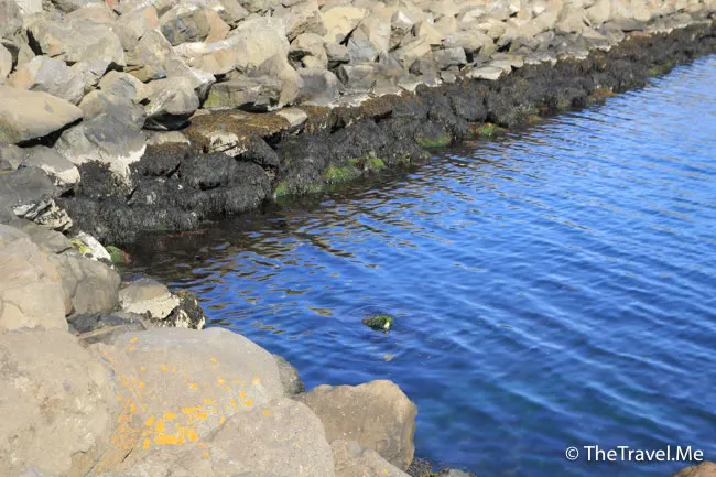 粗眉仔, 旅遊, Travel, 渡假, 觀光, sightseeing, 歐洲, 冰島, 北極, 瀑布, 熔岩, 冰山, Europe, Iceland, Golden Circle, 火山, volcano, Reykjavik, Akureyri, lake Myvatn, glacier, 冰川