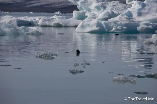 粗眉仔, 旅遊, Travel, 渡假, 觀光, sightseeing, 歐洲, 冰島, 北極, 瀑布, 熔岩, 冰山, Europe, Iceland, Golden Circle, 火山, volcano, Reykjavik, Akureyri, lake Myvatn, glacier, 冰川