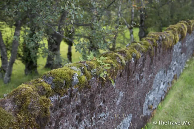 粗眉仔, 旅遊, Travel, 渡假, 觀光, sightseeing, 歐洲, 冰島, 北極, 瀑布, 熔岩, 冰山, Europe, Iceland, Golden Circle, 火山, volcano, Reykjavik, Akureyri, lake Myvatn, glacier, 冰川