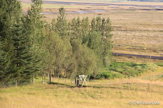 粗眉仔, 旅遊, Travel, 渡假, 觀光, sightseeing, 歐洲, 冰島, 北極, 瀑布, 熔岩, 冰山, Europe, Iceland, Golden Circle, 火山, volcano, Reykjavik, Akureyri, lake Myvatn, glacier, 冰川