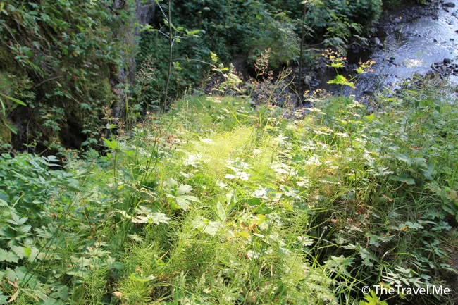 粗眉仔, 旅遊, Travel, 渡假, 觀光, sightseeing, 歐洲, 冰島, 北極, 瀑布, 熔岩, 冰山, Europe, Iceland, Golden Circle, 火山, volcano, Reykjavik, Akureyri, lake Myvatn, glacier, 冰川