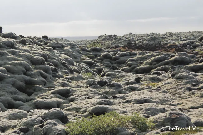 粗眉仔, 旅遊, Travel, 渡假, 觀光, sightseeing, 歐洲, 冰島, 北極, 瀑布, 熔岩, 冰山, Europe, Iceland, Golden Circle, 火山, volcano, Reykjavik, Akureyri, lake Myvatn, glacier, 冰川