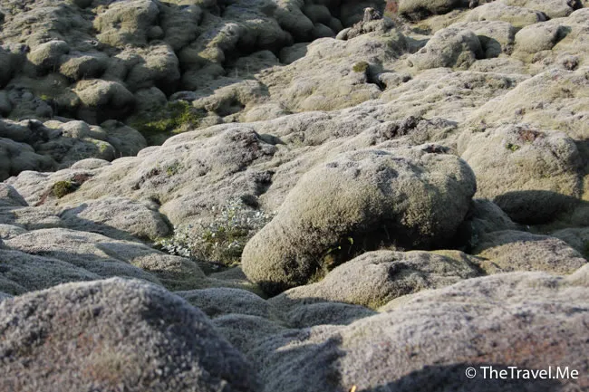 粗眉仔, 旅遊, Travel, 渡假, 觀光, sightseeing, 歐洲, 冰島, 北極, 瀑布, 熔岩, 冰山, Europe, Iceland, Golden Circle, 火山, volcano, Reykjavik, Akureyri, lake Myvatn, glacier, 冰川