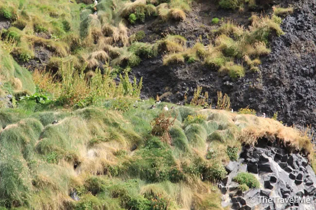 粗眉仔, 旅遊, Travel, 渡假, 觀光, sightseeing, 歐洲, 冰島, 北極, 瀑布, 熔岩, 冰山, Europe, Iceland, Golden Circle, 火山, volcano, Reykjavik, Akureyri, lake Myvatn, glacier, 冰川