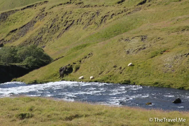 粗眉仔, 旅遊, Travel, 渡假, 觀光, sightseeing, 歐洲, 冰島, 北極, 瀑布, 熔岩, 冰山, Europe, Iceland, Golden Circle, 火山, volcano, Reykjavik, Akureyri, lake Myvatn, glacier, �川