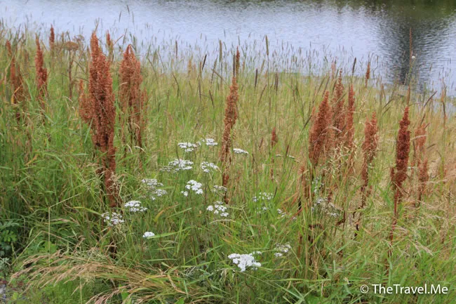 粗眉仔, 旅遊, Travel, 渡假, 觀光, sightseeing, 歐洲, 冰島, 北極, 瀑布, 熔岩, 冰山, Europe, Iceland, Golden Circle, 火山, volcano, Reykjavik, Akureyri, lake Myvatn, glacier, 冰川