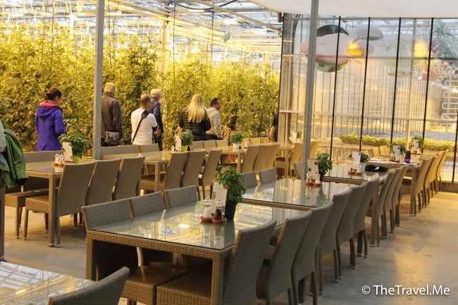 粗眉仔, 旅遊, Travel, 渡假, 觀光, sightseeing, 歐洲, 冰島, 北極, 瀑布, 熔岩, 冰山, Europe, Iceland, Golden Circle, 火山, volcano, Reykjavik, Akureyri, lake Myvatn, glacier, 冰川