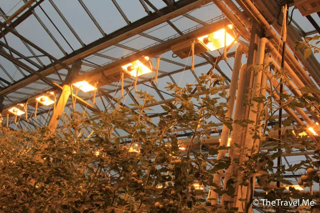 粗眉仔, 旅遊, Travel, 渡假, 觀光, sightseeing, 歐洲, 冰島, 北極, 瀑布, 熔岩, 冰山, Europe, Iceland, Golden Circle, 火山, volcano, Reykjavik, Akureyri, lake Myvatn, glacier, 冰川