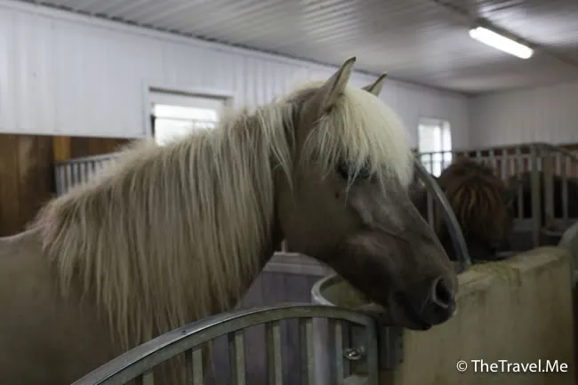 粗眉仔, 旅遊, Travel, 渡假, 觀光, sightseeing, 歐洲, 冰島, 北極, 瀑布, 熔岩, 冰山, Europe, Iceland, Golden Circle, 火山, volcano, Reykjavik, Akureyri, lake Myvatn, glacier, 冰川