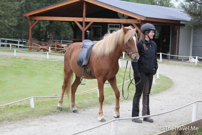 粗眉仔, 旅遊, Travel, 渡假, 觀光, sightseeing, 歐洲, 冰島, 北極, 瀑布, 熔岩, 冰山, Europe, Iceland, Golden Circle, 火山, volcano, Reykjavik, Akureyri, lake Myvatn, glacier, 冰川