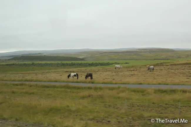 粗眉仔, 旅遊, Travel, 渡假, 觀光, sightseeing, 歐洲, 冰島, 北極, 瀑布, 熔岩, 冰山, Europe, Iceland, Golden Circle, 火山, volcano, Reykjavik, Akureyri, lake Myvatn, glacier, 冰川