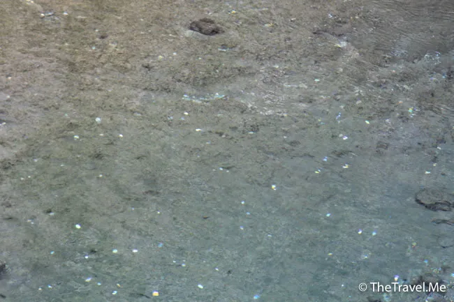 粗眉仔, 旅遊, Travel, 渡假, 觀光, sightseeing, 歐洲, 冰島, 北極, 瀑布, 熔岩, 冰山, Europe, Iceland, Golden Circle, 火山, volcano, Reykjavik, Akureyri, lake Myvatn, glacier, 冰川