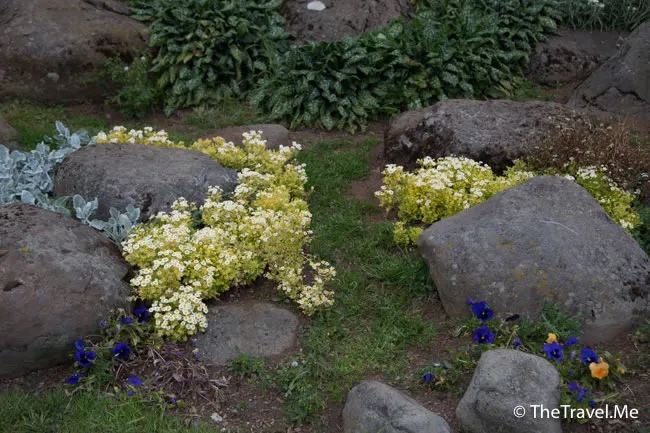 粗眉仔, 旅遊, Travel, 渡假, 觀光, sightseeing, 歐洲, 冰島, 北極, 瀑布, 熔岩, 冰山, Europe, Iceland, Golden Circle, 火山, volcano, Reykjavik, Akureyri, lake Myvatn, glacier, 冰川