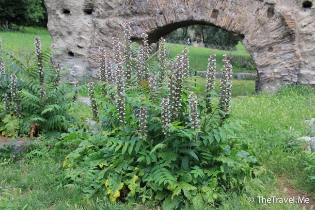 粗眉仔, 旅遊, 文化遺產, 藝術, 歐洲, 意大利, 梵蒂岡, 羅馬, 翡冷翠, 佛羅倫斯, 拿波里, 那不勒斯, 龐貝, 古蹟, 文藝復興, travel, Europe, Italy, Rome, Napoli, Florence, Renaissance, Pompeii, relics, Vatican