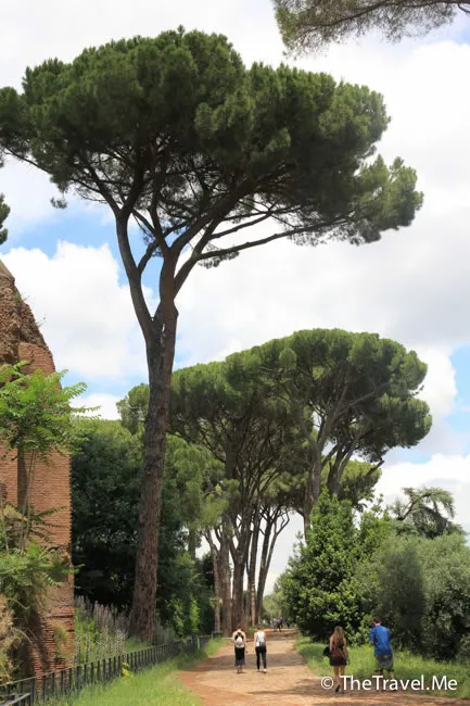 粗眉仔, 旅遊, 文化遺產, 藝術, 歐洲, 意大利, 梵蒂岡, 羅馬, 翡冷翠, 佛羅倫斯, 拿波里, 那不勒斯, 龐貝, 古蹟, 文藝復興, travel, Europe, Italy, Rome, Napoli, Florence, Renaissance, Pompeii, relics, Vatican