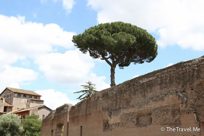 粗眉仔, 旅遊, 文化遺產, 藝術, 歐洲, 意大利, 梵蒂岡, 羅馬, 翡冷翠, 佛羅倫斯, 拿波里, 那不勒斯, 龐貝, 古蹟, 文藝復興, travel, Europe, Italy, Rome, Napoli, Florence, Renaissance, Pompeii, relics, Vatican