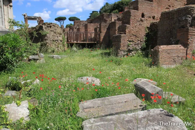 粗眉仔, 旅遊, 文化遺產, 藝術, 歐洲, 意大利, 梵蒂岡, 羅馬, 翡冷翠, 佛羅倫斯, 拿波里, 那不勒斯, 龐貝, 古蹟, 文藝復興, travel, Europe, Italy, Rome, Napoli, Florence, Renaissance, Pompeii, relics, Vatican