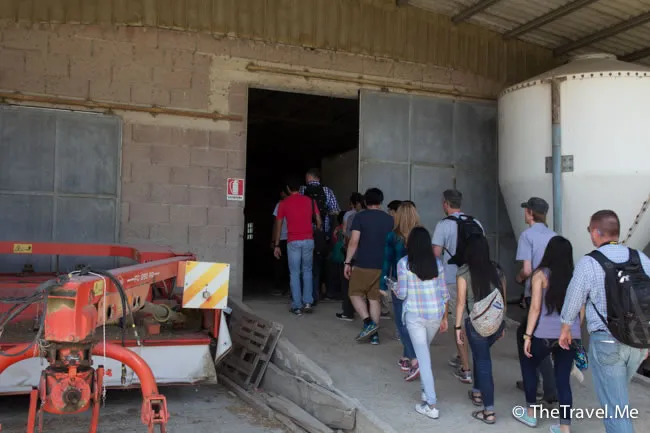 粗眉仔, 旅遊, 文化遺產, 藝術, 歐洲, 意大利, 梵蒂岡, 羅馬, 翡冷翠, 佛羅倫斯, 拿波里, 那不勒斯, 龐貝, 古蹟, 文藝復興, travel, Europe, Italy, Rome, Napoli, Florence, Renaissance, Pompeii, relics, Vatican