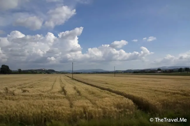 粗眉仔, 旅遊, 文化遺產, 藝術, 歐洲, 意大利, 梵蒂岡, 羅馬, 翡冷翠, 佛羅倫斯, 拿波里, 那不勒斯, 龐貝, 古蹟, 文藝復興, travel, Europe, Italy, Rome, Napoli, Florence, Renaissance, Pompeii, relics, Vatican