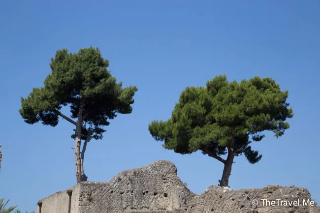粗眉仔, 旅遊, 文化遺產, 藝術, 歐洲, 意大利, 梵蒂岡, 羅馬, 翡冷翠, 佛羅倫斯, 拿波里, 那不勒斯, 龐貝, 古蹟, 文藝復興, travel, Europe, Italy, Rome, Napoli, Florence, Renaissance, Pompeii, relics, Vatican