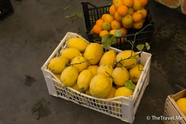 粗眉仔, 旅遊, 文化遺產, 藝術, 歐洲, 意大利, 梵蒂岡, 羅馬, 翡冷翠, 佛羅倫斯, 拿波里, 那不勒斯, 龐貝, 古蹟, 文藝復興, travel, Europe, Italy, Rome, Napoli, Florence, Renaissance, Pompeii, relics, Vatican